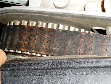 Ремень ГРМ Ford Focus 2