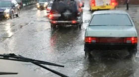 Троит в сырую погоду