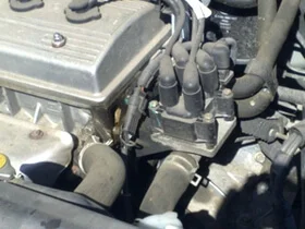 троит в сырую погоду