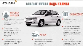 Калина слабые места