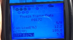 Error Code P0172: System Too Rich. Causes and Diagnosis