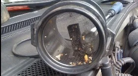 Датчик массового расхода воздуха (ДМРВ) в Приоре и Калине