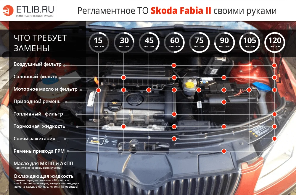 Список работ и периодичность замены при регламентном ТО на Skoda Fabia 2 Регламент ТО Шкода Фабия 2. Периодичность технического обслуживания Skoda Fabia 2