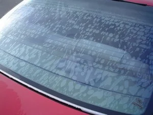 пузыри на тонировке