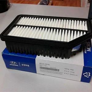 Воздушный фильтр 281131-R100