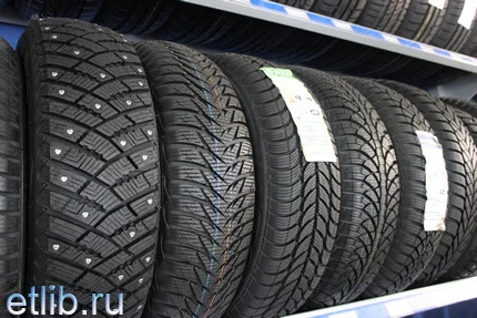 шины для европейской зимы