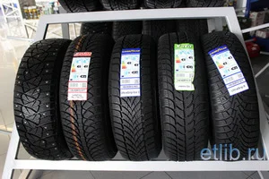 шины с повышенной проходимостью