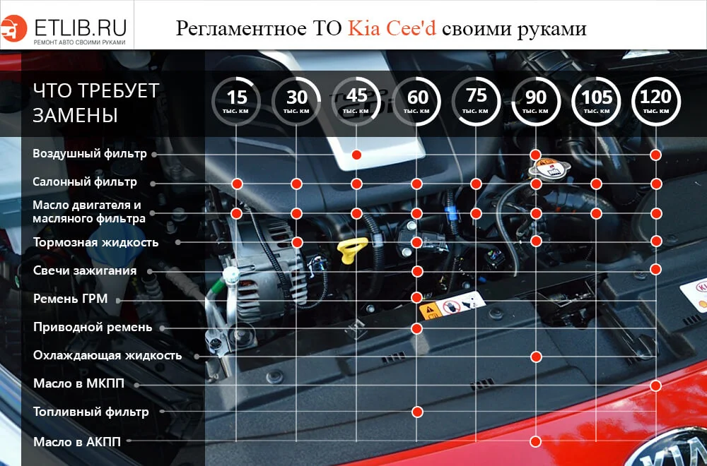 Регламент ТО Киа Сид. Периодичность технического обслуживания Kia Cee’d