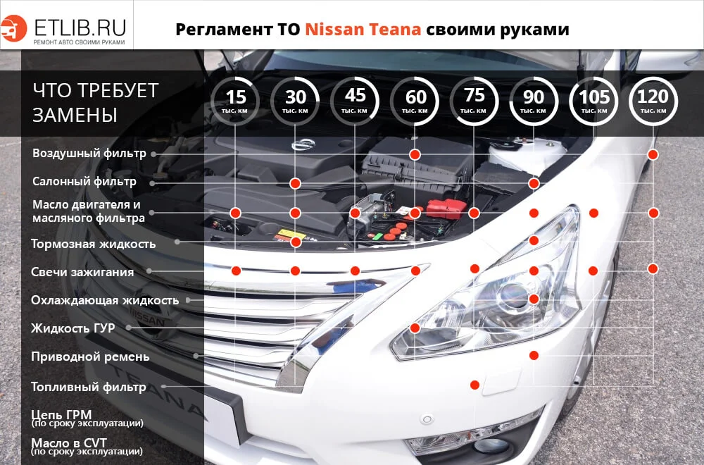 Список работ и периодичность замены при регламентном ТО на Nissan Teana Регламент ТО Ниссан Теана. Периодичность технического обслуживания Nissan Teana