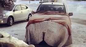 Утеплитель для автомобиля