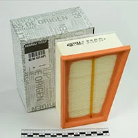 Оригинальный воздушный фильтр Renault 8200431051