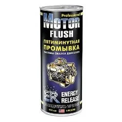 ER PROFESSIONAL motor Flush P023RU