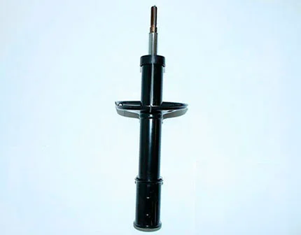 Амортизатор 543024989R