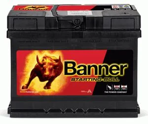 BANNER STARTING BULL