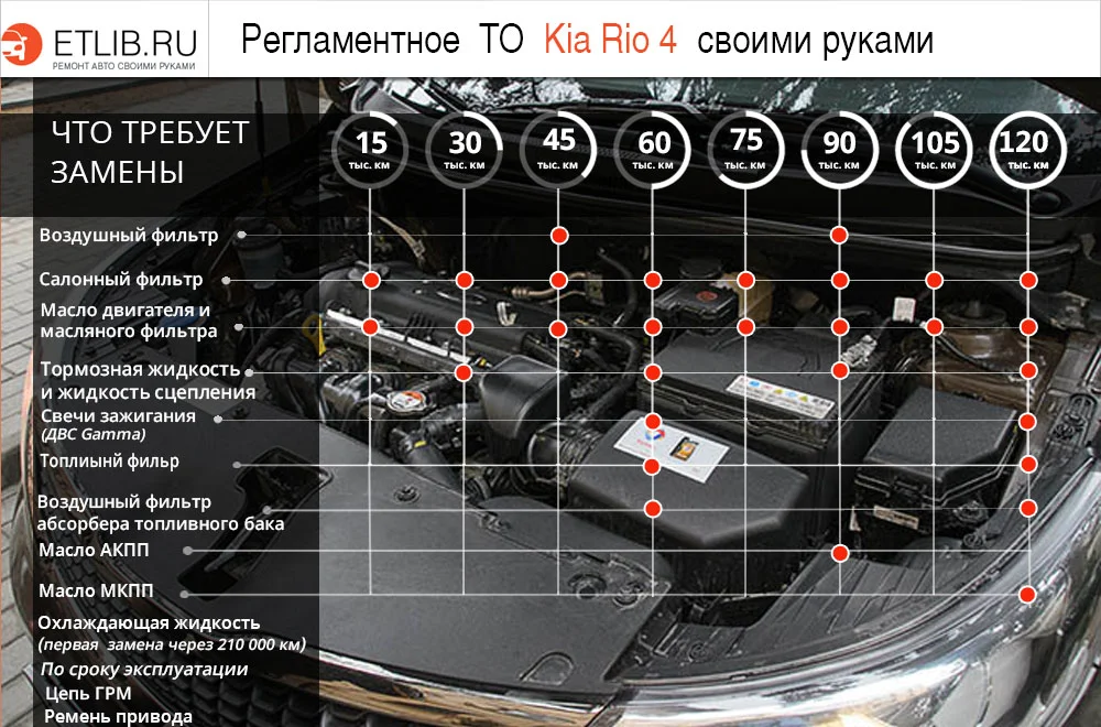 Регламент ТО Киа Рио 4. Периодичность технического обслуживания Kia Rio IV