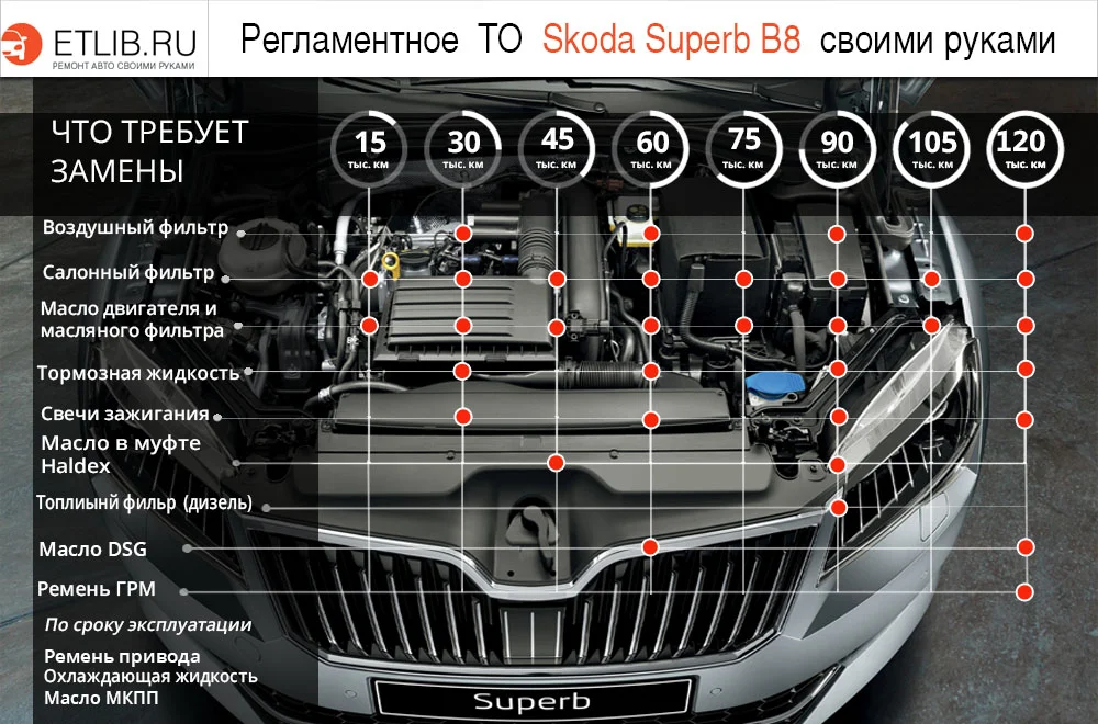 Список работ и периодичность замены при регламентном ТО на Skoda Superb В8 Регламент ТО Шкода Суперб В8. Периодичность технического обслуживания Skoda Superb В8