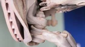 Неисправность шаровой