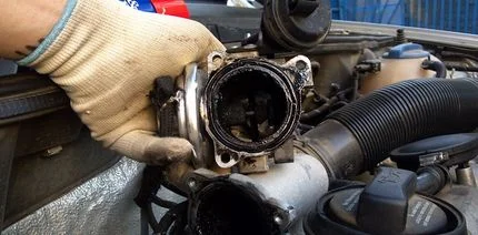 Как проверить ЕГР