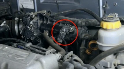 Как проверить ДАД