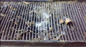 Замена фильтра салона на Mercedes W220