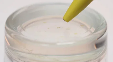 Результат проверки бензина на смолы