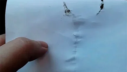 Масляные следы на листе бумаге