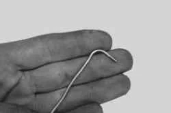 проверка уровня масла КПП Форд Фокус