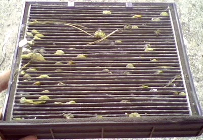 старый фильтр салона Чери Тиго