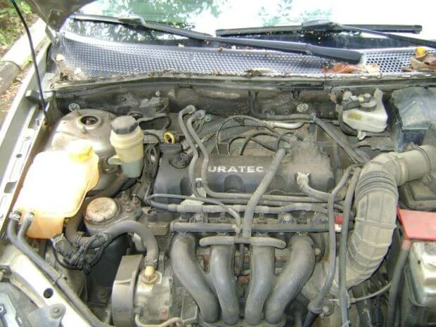 двигатель Форд Фокус