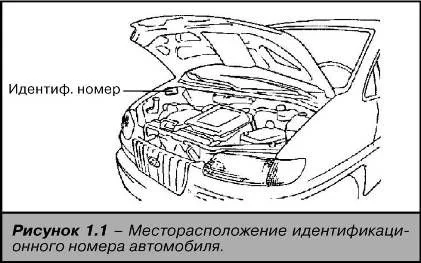 Местонахождение номера кузова Hyundai Starex (H1)