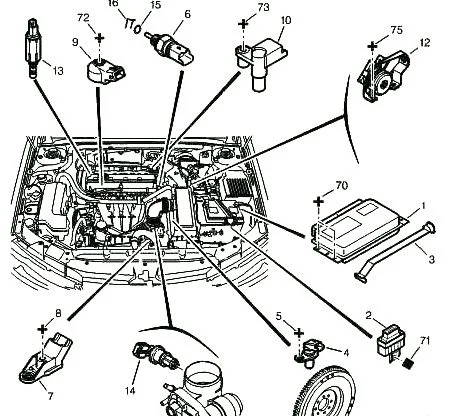 датчики Пежо 607