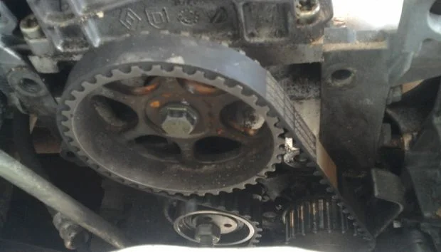 Ремень ГРМ Рено Логан