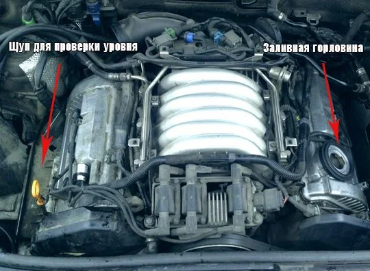 Как заменить масло в Ауди A6 C5