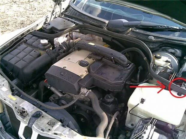 Клема + Мерседес