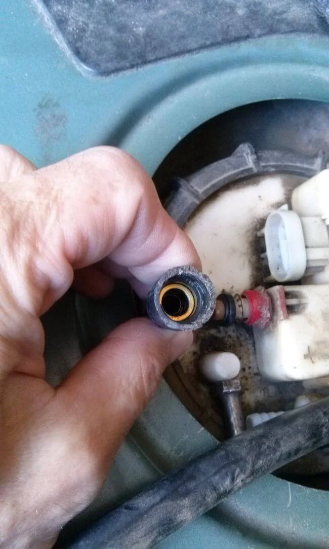 Внутри кольцо. Чуть не потерял!