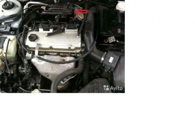 лопнуло сдесь