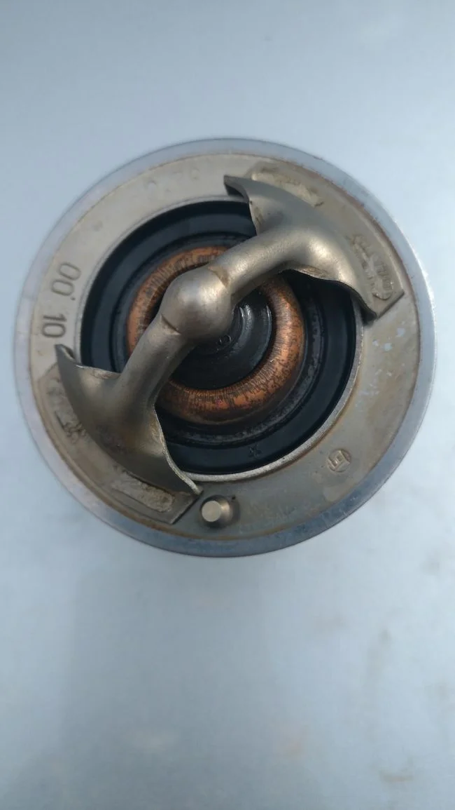 старый термостат_1