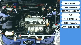 Интервалы замены масла и других жидкостей Honda и Acura